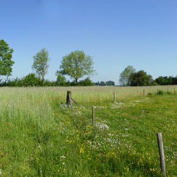 Cortenoever en Kronkelwaard (IJsselvallei)